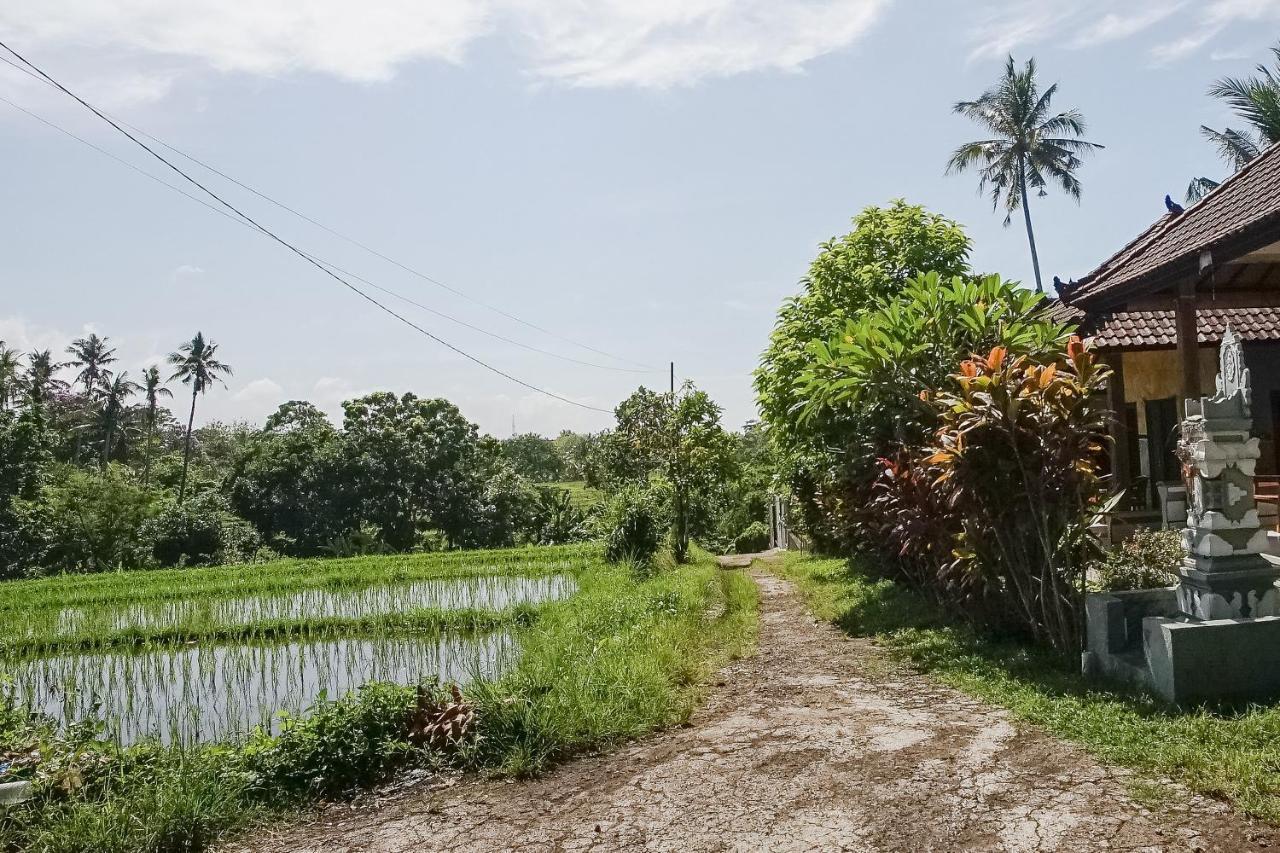 Mejan Home Stay Balian Екстер'єр фото